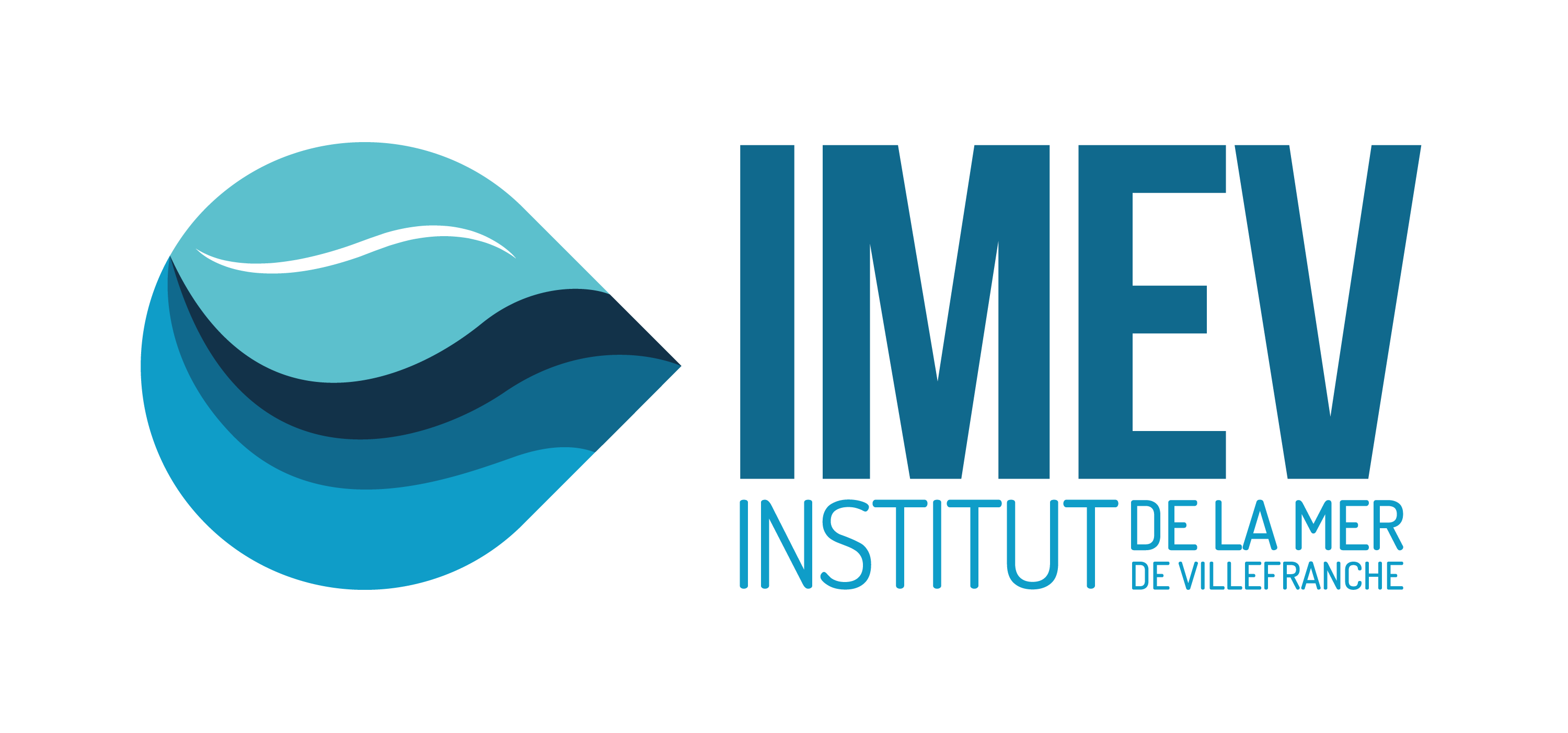 Institution Logo