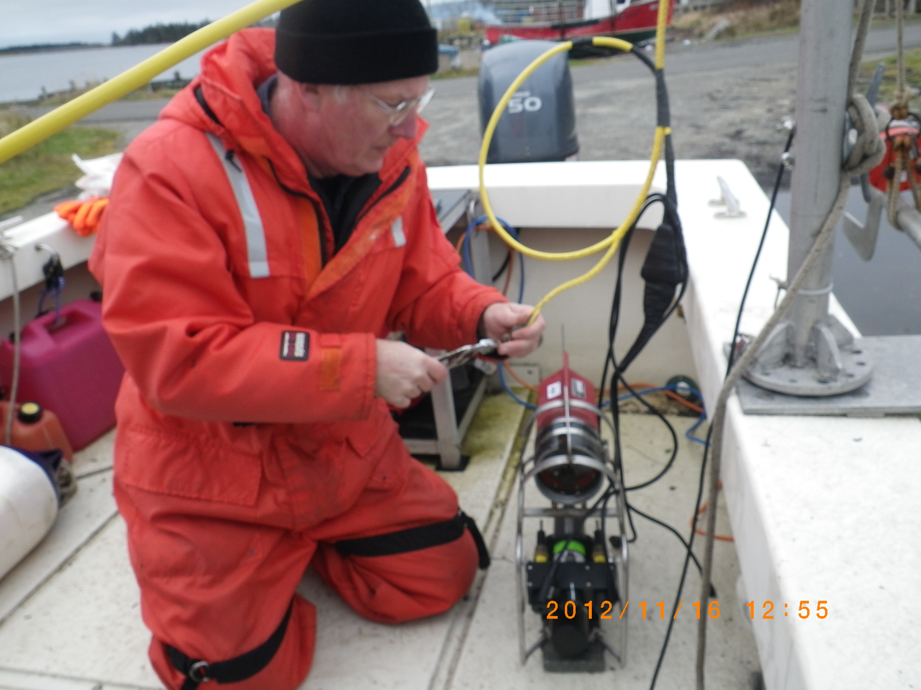 User profile picture