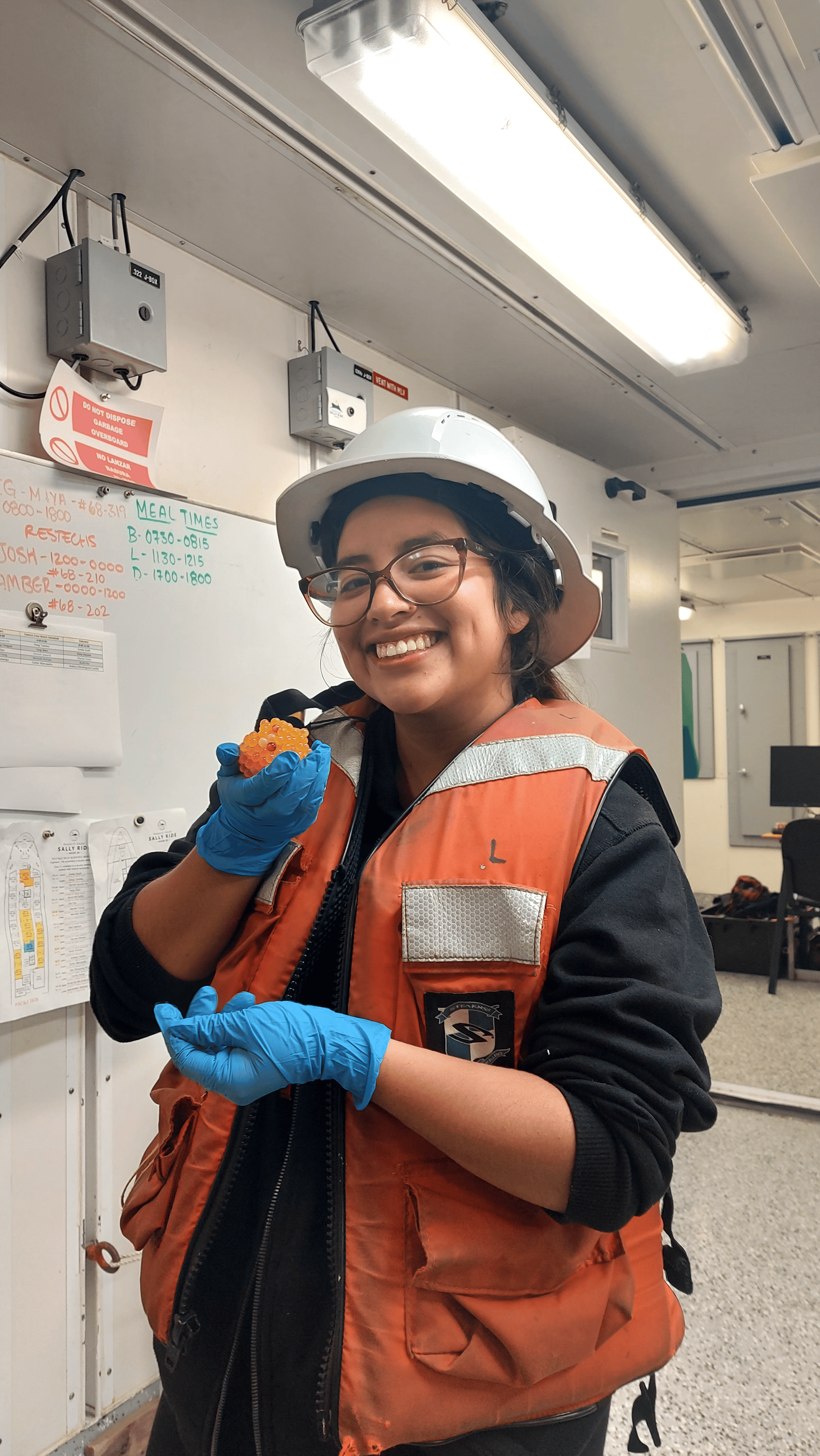 User profile picture