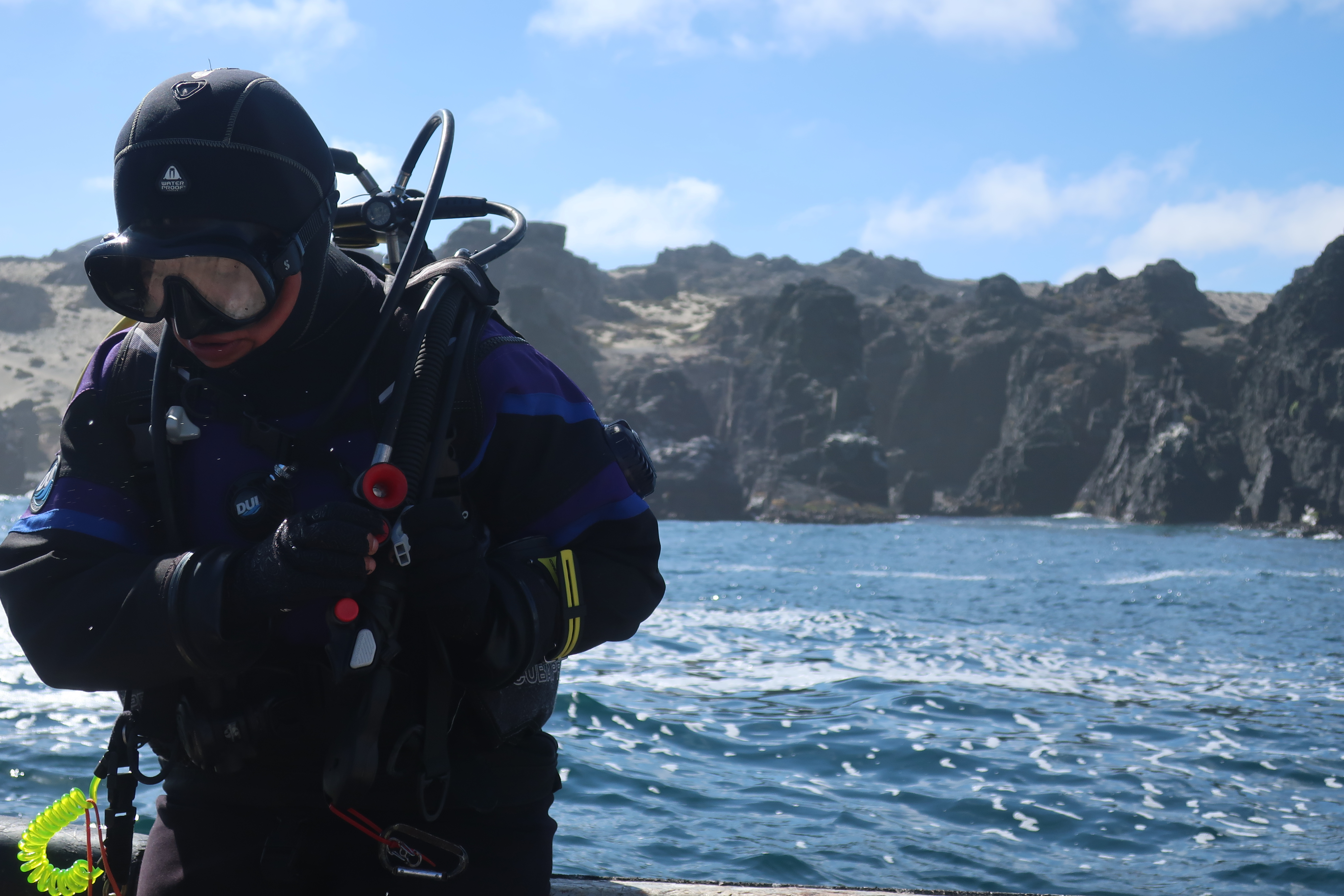 User profile picture