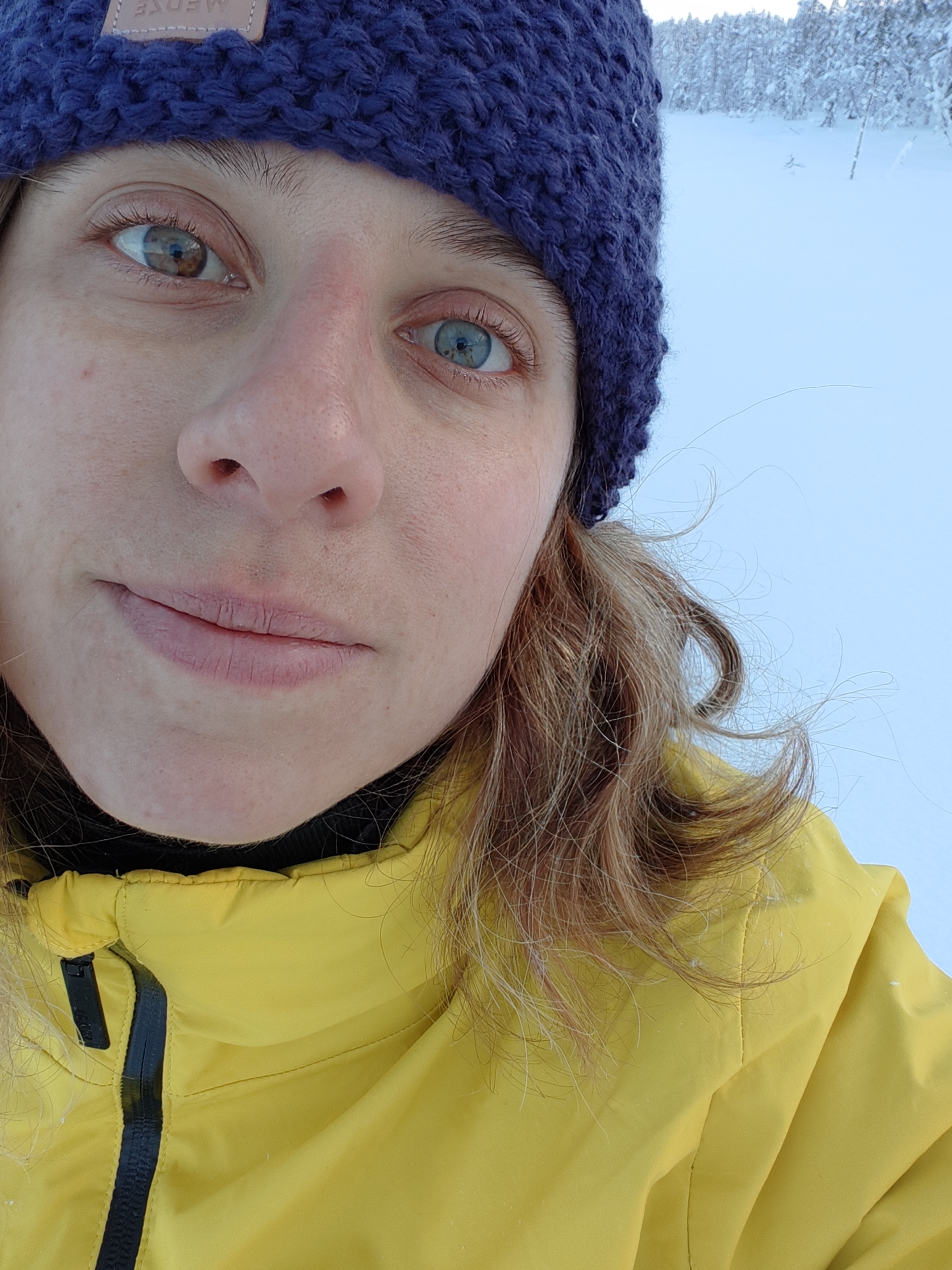 User profile picture